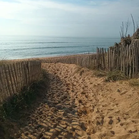 Maison Port De La Cotiniere A 150m De La *